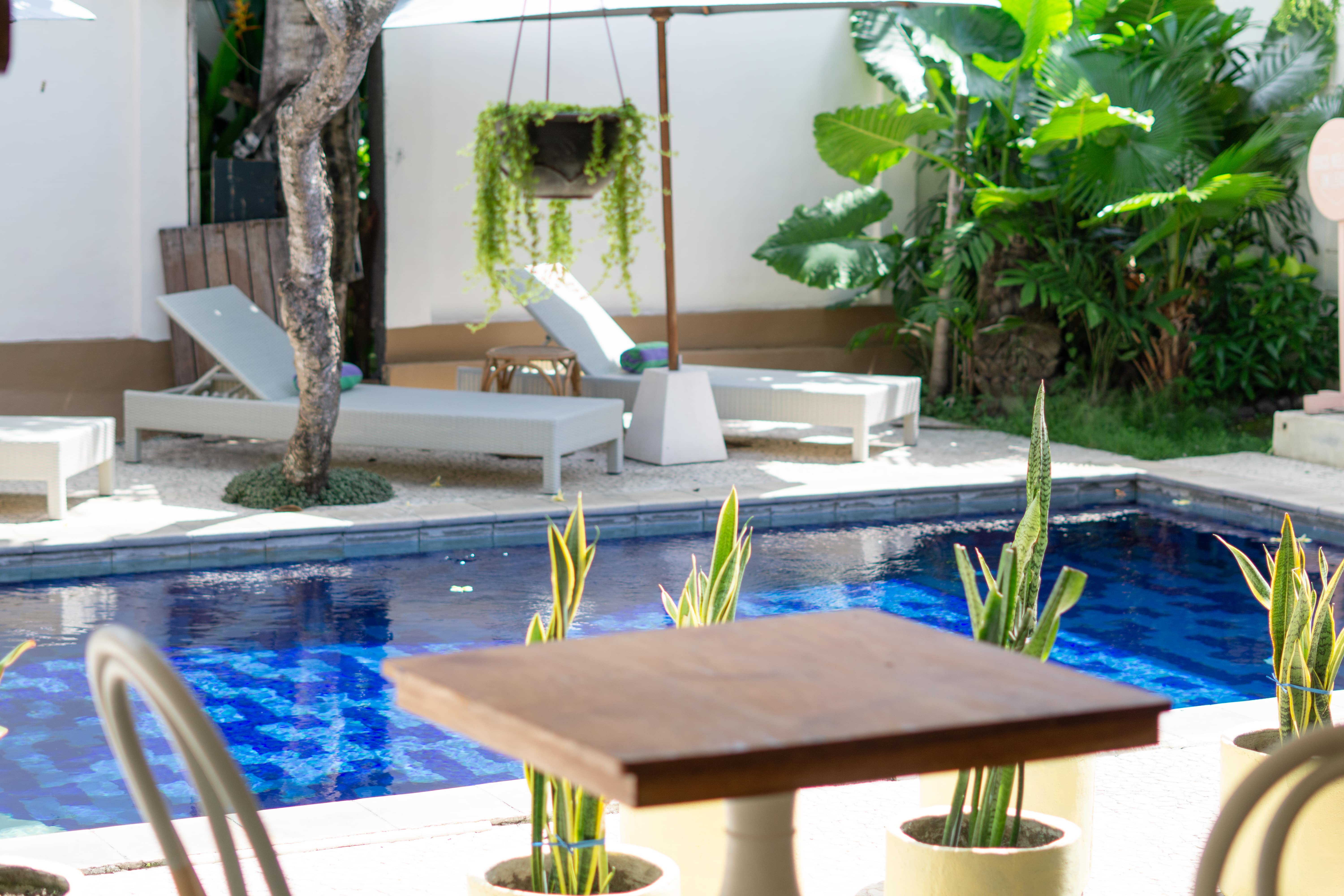 The Chillhouse Canggu